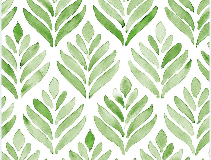 <h4>Wild heart, styled right</h4><h1>Spotlight Collection </h1>